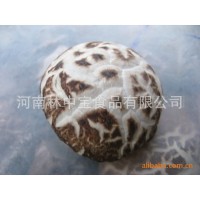 西陜野生散貨干香菇批發(fā)當年加工貯存干貨西峽出口干香菇