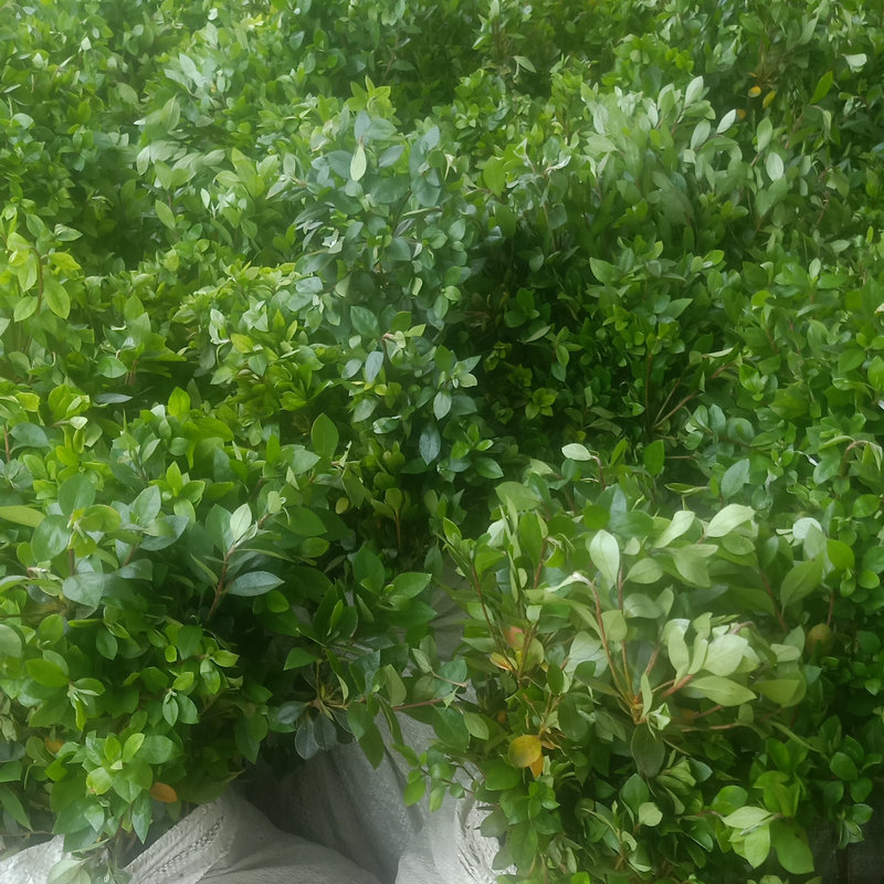 7d6cc0d3-33b4-4921-aa5f-0e14c5