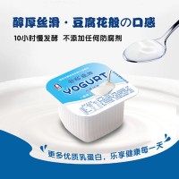 廠家直供 源頭批發(fā)南國乳業(yè)僑港酸奶原味風(fēng)味酸奶100g*16杯泡沫箱