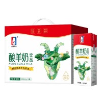 南國(guó)乳業(yè)酸羊奶飲品200ml*12盒裝兒童學(xué)生營(yíng)養(yǎng)早餐酸奶