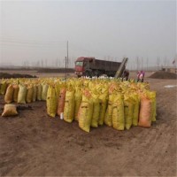 酵素生物雞糞 發(fā)酵有機肥料批發(fā)銷售 廠家直供有機肥廠家直銷 改良土壤