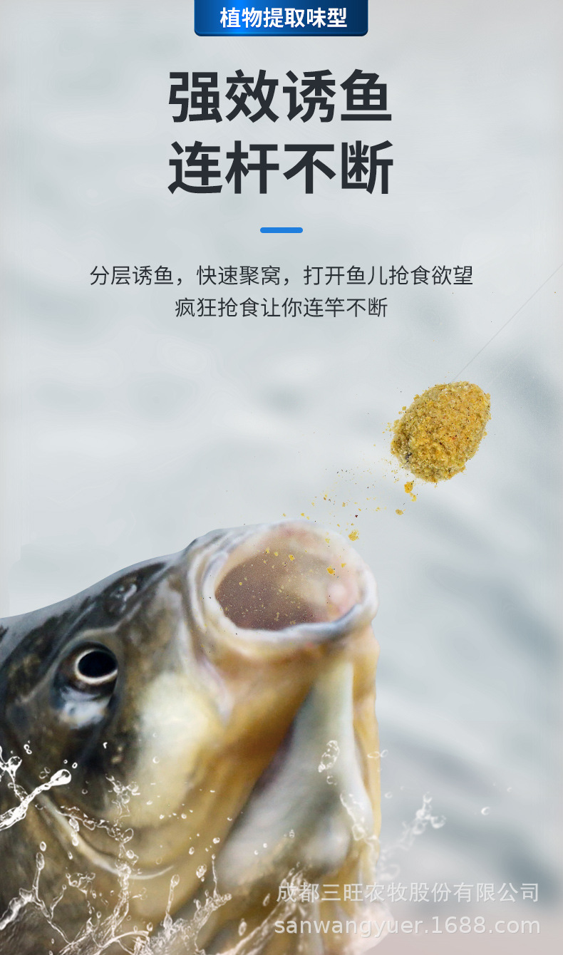 鯉魚綜合_04.jpg
