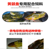 42蛋白 黃古魚(yú)膨化漂浮料 高蛋白生長(zhǎng)速度快 易消化吸收