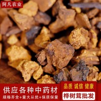 大貨批發(fā)樺樹茸 白樺茸顆粒 食用菌類大量供應(yīng)代理批發(fā)一件代發(fā)