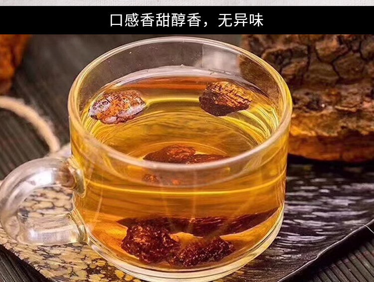 樺樹茸4_10.jpg