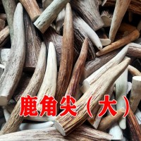鹿角尖500克 鹿角實(shí)心手把件雕刻料原料吉林雙陽鹿場直供免費(fèi)打粉