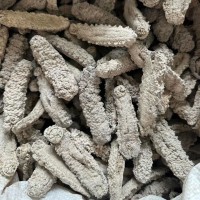 野生淡干黃玉海參滋補(bǔ)食材干貨250克包郵