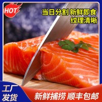 新鮮挪威三文魚日料刺身冰鮮刺身日料食材國(guó)產(chǎn)三文魚虹鱒魚腩批發(fā)
