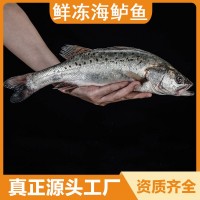 大鱸魚鮮凍海鱸魚海鮮水產七星鱸魚冰凍深海魚海鱸魚水產活魚鮮制