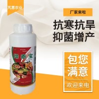 綠泰寶 核苷酸水劑葉面肥 生根壯苗水溶肥 生根增產 抗旱抗寒