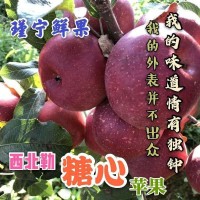 云南西北勒小蘋果蒙自野生蘋果冰糖心新鮮水果當季應(yīng)季原生態(tài)水果