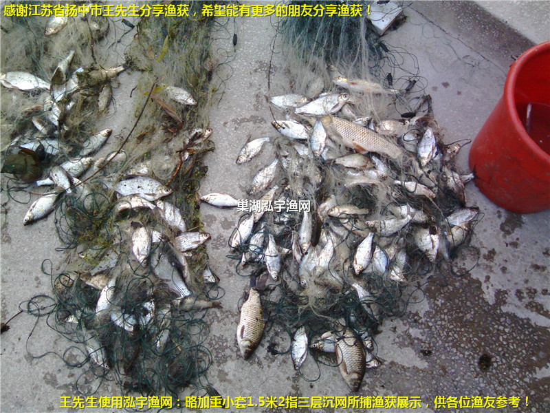 感謝江蘇省揚中市王先生分享漁獲！