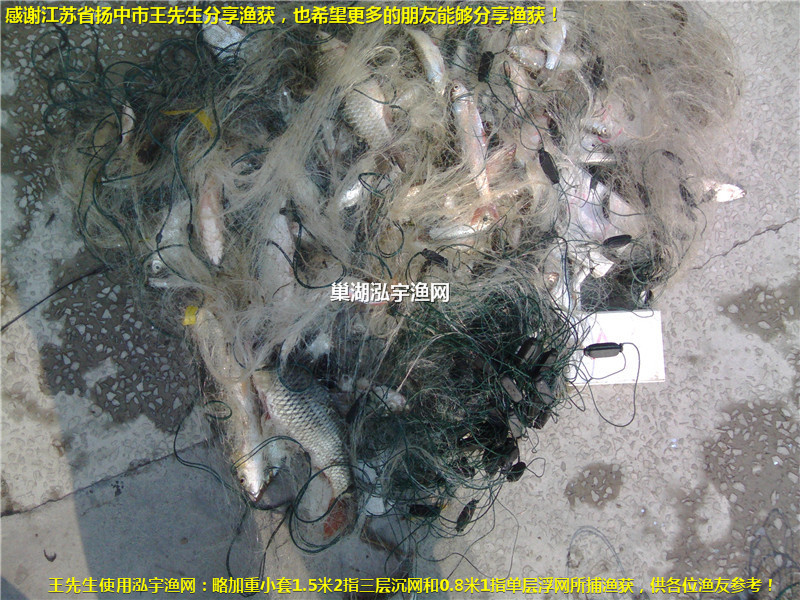 感謝江蘇省揚中市王先生分享漁獲！