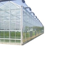 玻璃溫室大棚 花卉園林智能溫室 大棚廠家設計安裝玻璃暖棚溫室