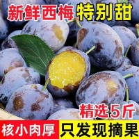 嚴選西梅子果孕婦水果非智利西梅新疆西梅干女神西梅鮮果批 發(fā)代發(fā)