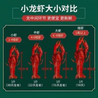 湖北洪湖清水鮮活小龍蝦789錢五斤蝦超大冷鏈包郵產(chǎn)地批發(fā)小龍蝦
