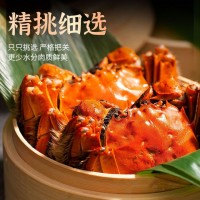 螃蟹六月黃大閘蟹精品塘活蟹貨好品質味美鮮甜大閘蟹螃蟹批發(fā)