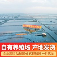 陽澄湖鎮(zhèn)大閘蟹加盟鮮活螃蟹批發(fā)團購大閘蟹禮盒中秋禮品工 廠直