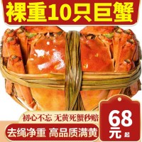 蘇州大閘蟹陽澄湖鎮(zhèn)大閘蟹螃蟹卡公母蟹高檔禮盒團購送禮