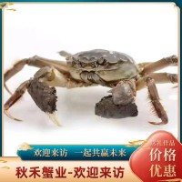 大閘蟹團(tuán)購(gòu)禮盒批發(fā)螃蟹鮮活現(xiàn)貨捕撈【蟹農(nóng)】順豐快遞死蟹包賠