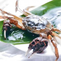 興化紅膏大閘蟹鮮活發(fā)貨養(yǎng)殖戶直供一件代發(fā)順豐直達(dá)10只禮盒裝