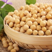50斤黃豆批發(fā)粒粒精選黑龍江東北正宗非轉(zhuǎn)基因大豆打豆?jié){專用