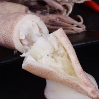 順豐包郵滿籽海兔子 滿籽籽烏全籽帶籽新鮮筆管魚(yú)小墨魚(yú)魷魚(yú)海鮮