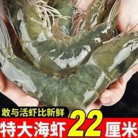 順豐包郵大蝦鮮活超大基圍蝦青島海蝦特大蝦速凍海鮮水產(chǎn)生鮮蝦類