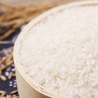十乧香五常大米10斤廠(chǎng)家批發(fā)香甜可口粒粒飽滿(mǎn)入口細(xì)糯產(chǎn)地直發(fā)