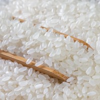 隆平芯米耐鹽堿有機大米有機種植軟糯真空袋包裝盤錦粳米5kg一袋