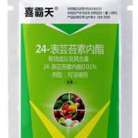 24表蕓苔素內脂大量供應廠家直發(fā)各種規(guī)格都有歡迎咨詢