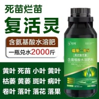 一噴綠葉面肥 含腐植酸功能型水溶肥|增加耐儲存耐運輸能力 綠爾康