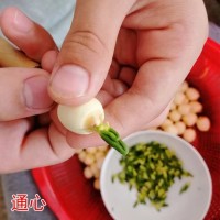 廣昌特產(chǎn)新鮮干貨無硫白蓮子手工蓮子250克新鮮粉糯飽滿大顆粒