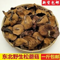 野生松蘑東北特產(chǎn)松菇干貨粘蛾子松蛾粘團(tuán)子山蘑菇松口蘑特產(chǎn)包郵