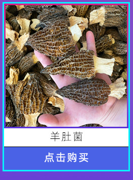 關聯(lián)營銷_08.png