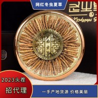 藏區(qū)冬蟲夏草禮盒套裝 網(wǎng)紅小蟲草100條/盒無斷草足干蟲草批發(fā)