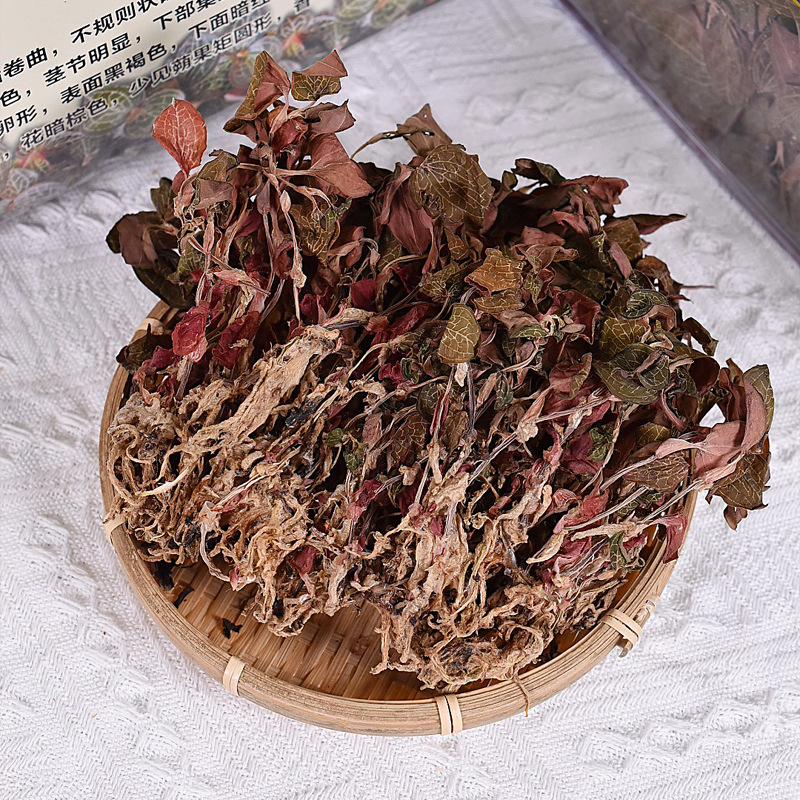 大葉金線蓮_05.png