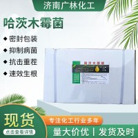 哈茨木霉菌全水溶預(yù)防根腐病土傳病害瓜果套餐枯草哈茨1公斤包袋