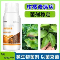 柑橘葵陽(yáng)病通用藥瘡痂病砂皮病穿孔裂皮病柑桔葵陽(yáng)流膠柑橘專(zhuān)用藥