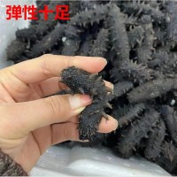 海參廠家批發(fā)大連海參遼刺參口感勁道鮮食海參大連特產(chǎn)