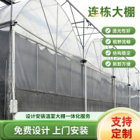 農(nóng)業(yè)外遮陽溫室大棚連棟連體大棚拱棚恒溫大棚植物藍莓苗種植大棚