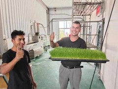 水培牧草種植是畜牧業(yè)的新希望，還是隱藏的風(fēng)險？