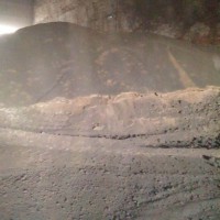 銷售中性有機肥原料 海藻渣 高含量低水分 發(fā)酵原料 PH值7