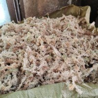 批發(fā)大包優(yōu)質(zhì)干水苔蘭花石斛食蟲植物保濕爬寵墊底專用干水苔