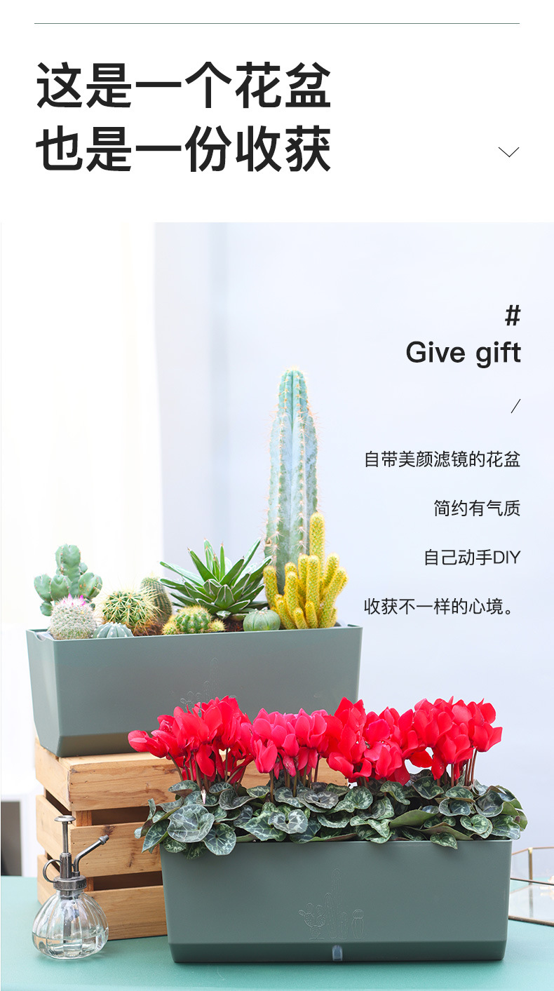 A203-菱形長(zhǎng)條儲(chǔ)水花盆_14.jpg
