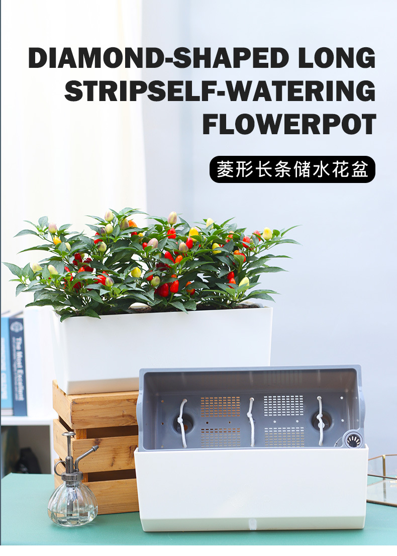 A203-菱形長(zhǎng)條儲(chǔ)水花盆_01.jpg