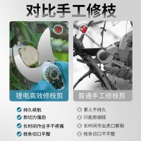 電動修枝剪刀果樹剪樹枝剪刀鋰電充電式剪子園林修枝粗枝剪電剪子