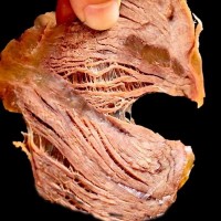 五香醬牛肉開(kāi)袋即食500g真空袋裝下酒菜涼拌菜鹵熟食現(xiàn)貨廠(chǎng)家批發(fā)