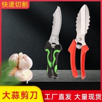 大蒜剪農(nóng)用剪刀碳鋼大蒜剪刀工廠批發(fā)洋蔥蒜頭苗根莖大頭剪刀農(nóng)用