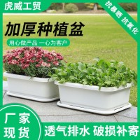 陽(yáng)臺(tái)種菜盆塑料花盆家用長(zhǎng)方形大號(hào)特惠托盤(pán)花卉蔬菜專用種菜盆